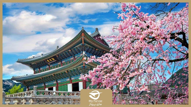 blog card