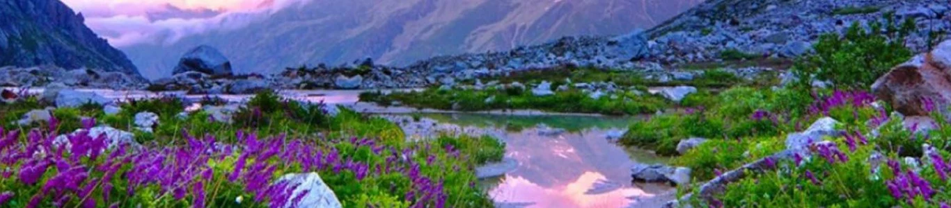 تور داخلی بهار 1405