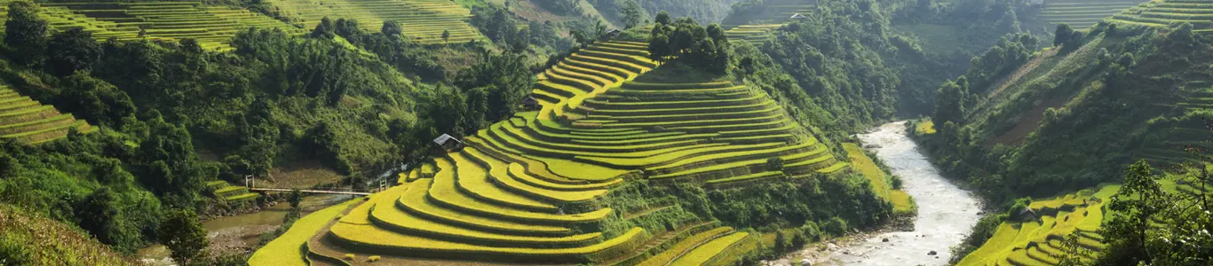 تور ویتنام آبان 1404