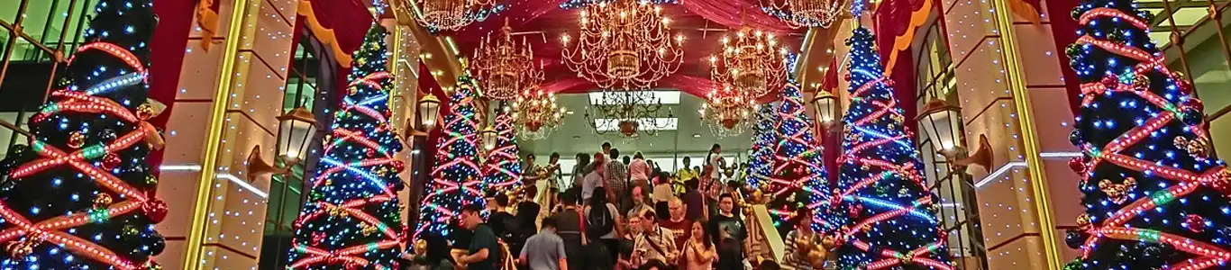 تور چین کریسمس 2026 - تور ژانویه چین