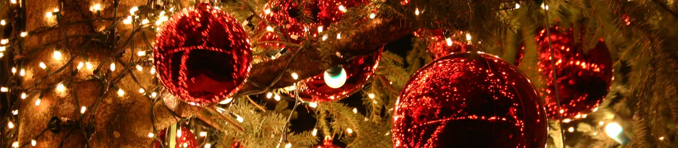 تور کوش آداسی کریسمس 2026 - تور ژانویه کوش آداسی