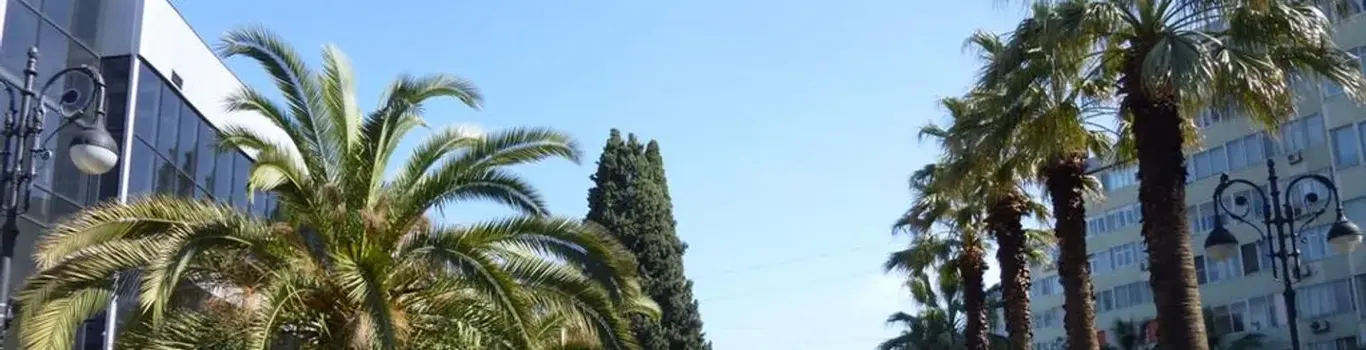 تور سوچی تیر 1405