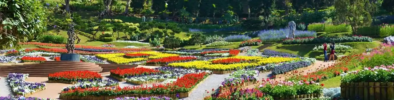 تور سوچی آذر 1404