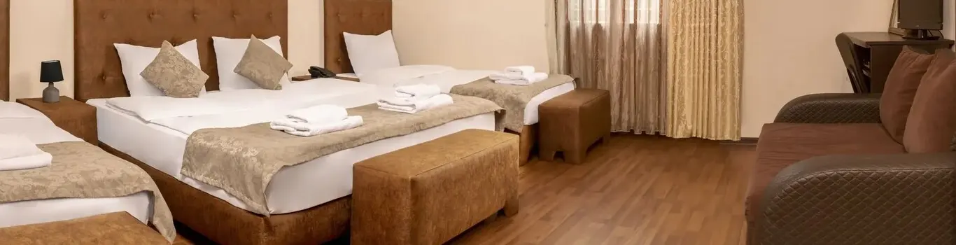 تور گرجستان هتل ونسا تفلیس