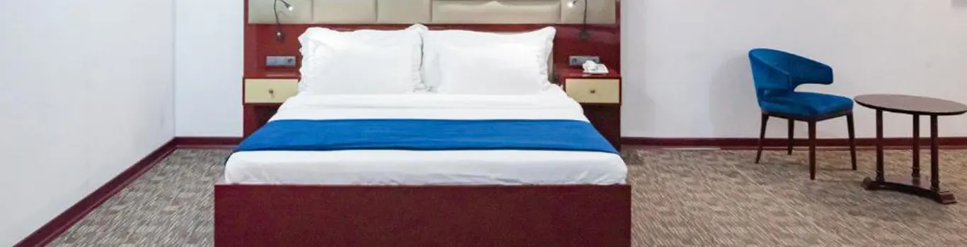 تور گرجستان هتل دنیس تفلیس