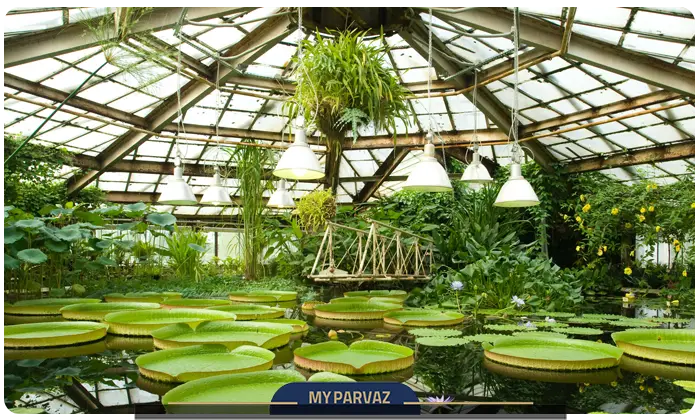 باغ گیاهشناسی آکادمی علوم روسیه