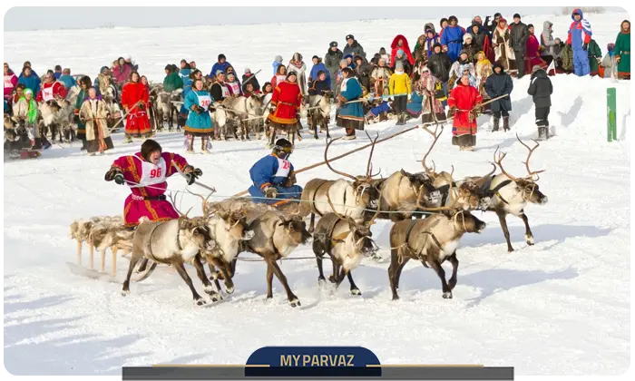 فستیوال گوزن شمالی